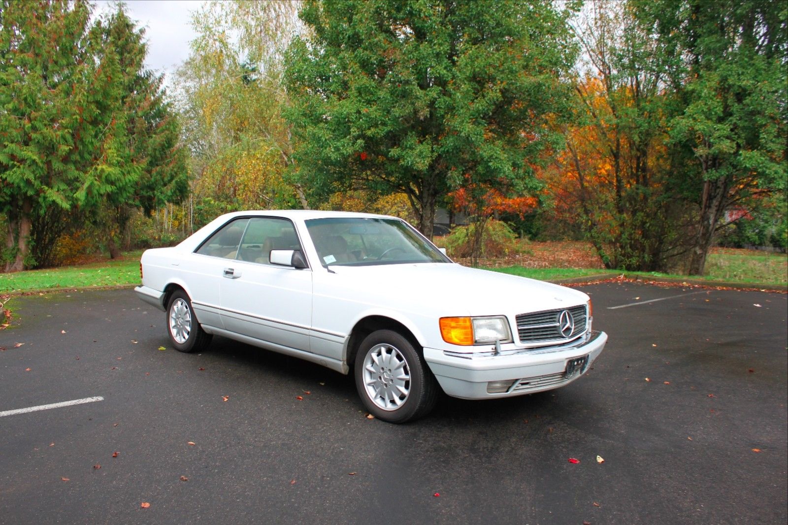 used Mercedes-Benz 500-Series 1990 vin: WDBCA45E5LA545954